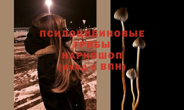ГАЛЛЮЦИНОГЕННЫЕ ГРИБЫ Нефтегорск