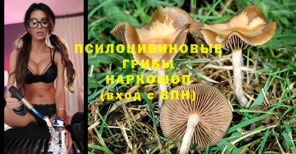 Альфа ПВП Надым